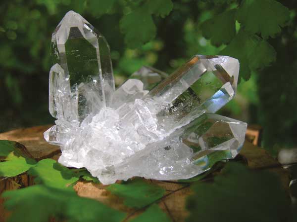 Steinheilkunde Netzwerk