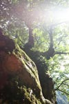 Allgäu Allgäu
